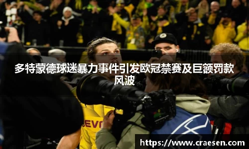 多特蒙德球迷暴力事件引发欧冠禁赛及巨额罚款风波