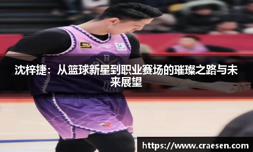 emc易倍